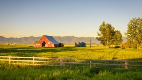 Texas Country Farm And Ranches What No One Is Talking About